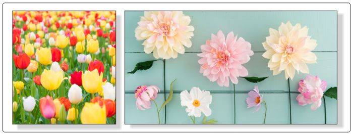 tablouri-canvas-cu-flori