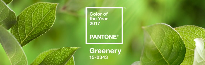 Pantone GREENERY 15-0343 - Culoarea anului 2017