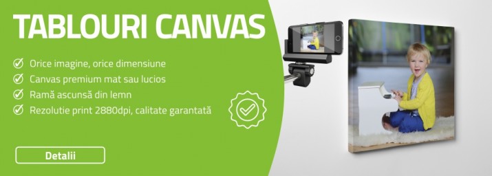 Tablouri canvas